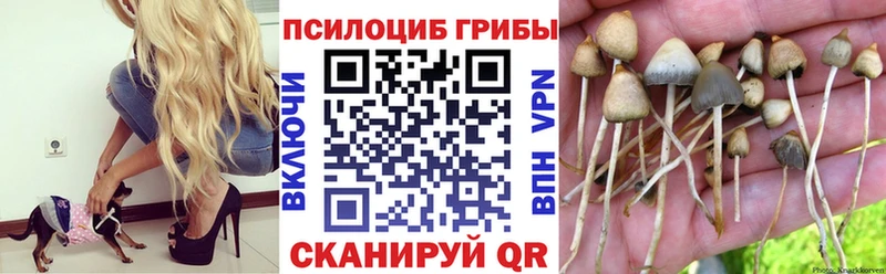 Псилоцибиновые грибы прущие грибы  Протвино 